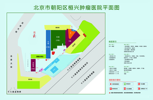 日韩B真人美女大片向阴径乱射应用北京市朝阳区桓兴肿瘤医院平面图